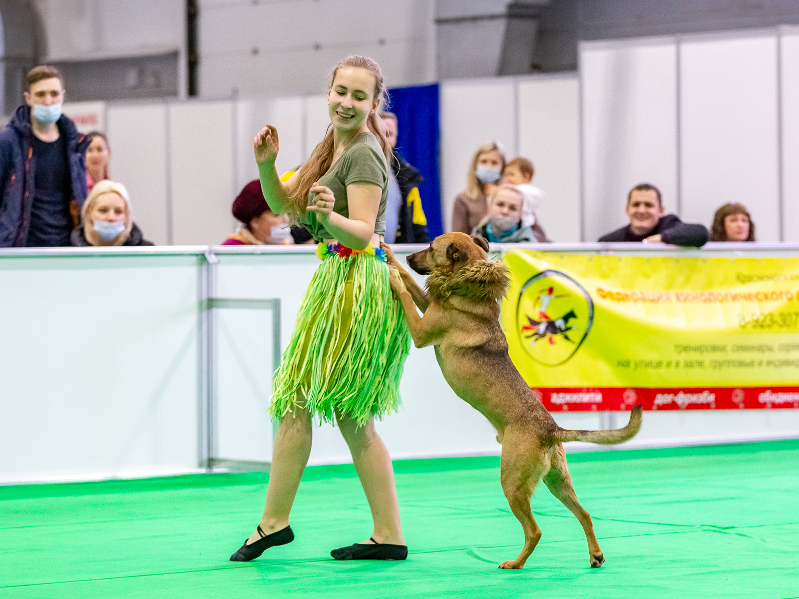 Собаки из приюта «Поводог» собрали все награды на профессиональных соревнованиях